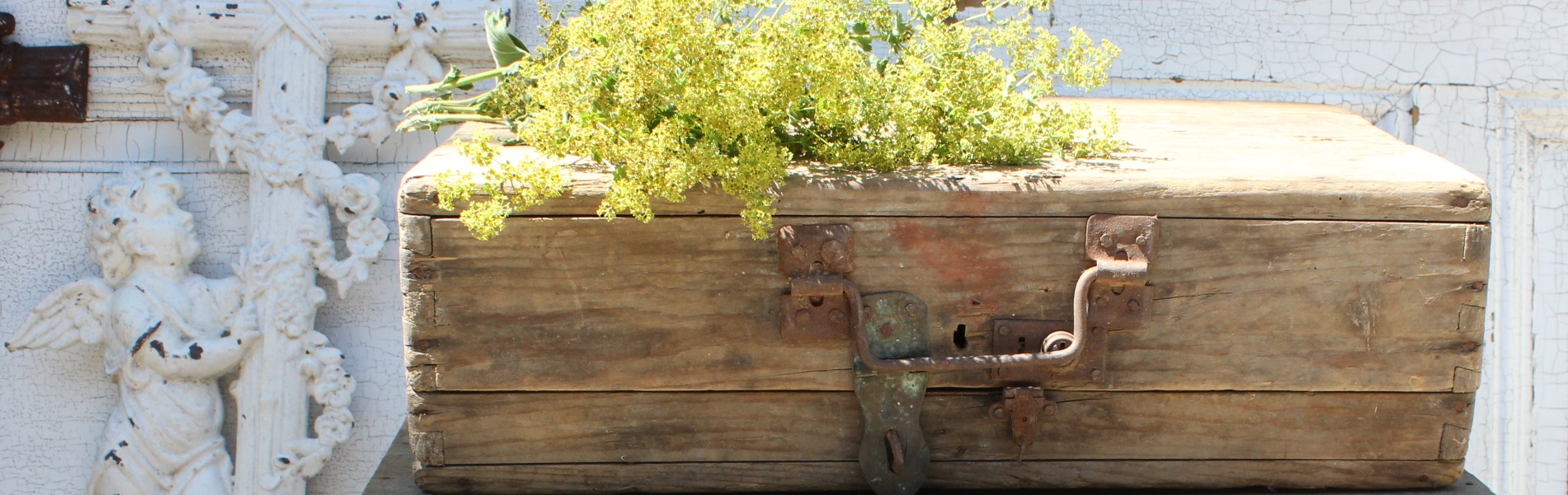Mentha - Brocante 
